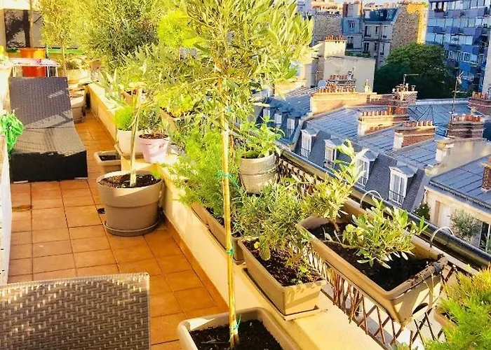 Terrasse Vue Tour Eiffel